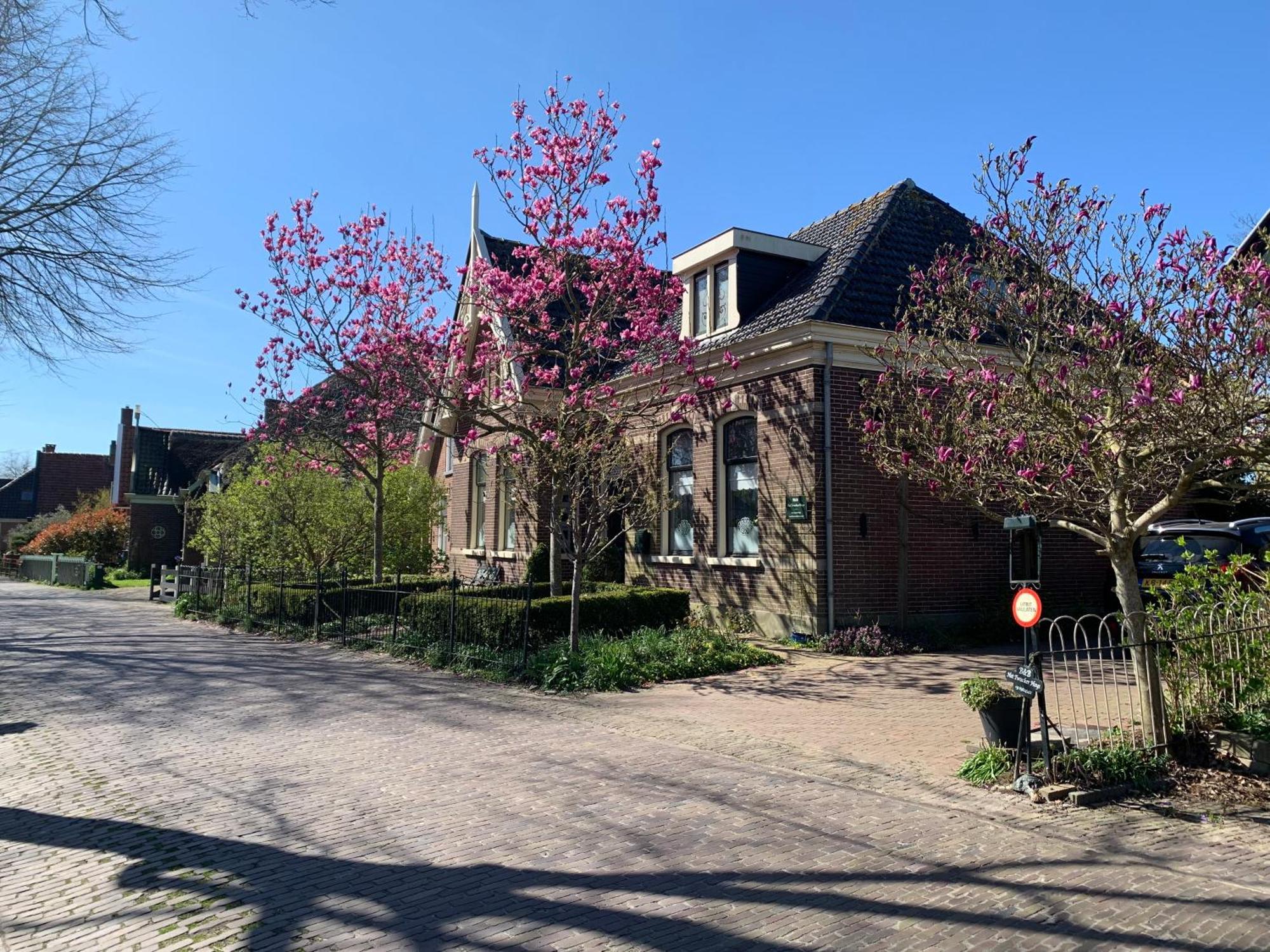 Het Twiscker Huys Bed & Breakfast Twisk Exterior photo